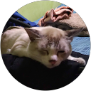 Muhammad Luqman Hakim Roslan profile picture